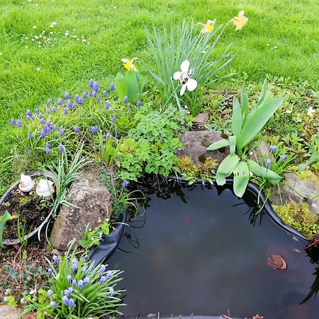 Ferienweingut & Gutsrestaurant Becker Lejlighed Burgen (Bernkastel-Wittlich)