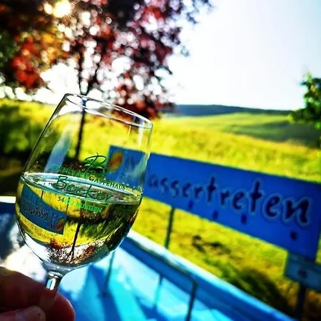 Ferienweingut & Gutsrestaurant Becker 아파트 *