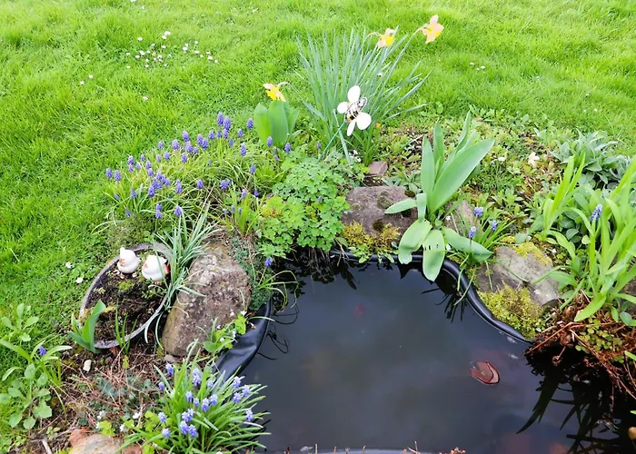 Ferienweingut & Gutsrestaurant Becker Apartamento Burgen (Bernkastel-Wittlich)