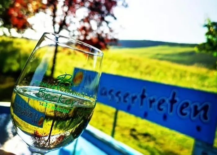 Ferienweingut & Gutsrestaurant Becker Apartamento *